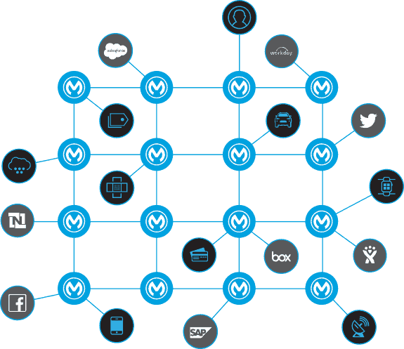 에볼루션 정품 알